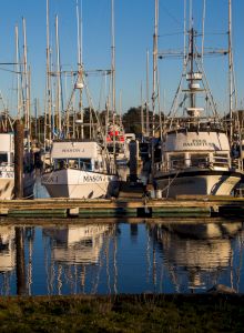 A lineup of fishing boats docked at a marina, their reflections visible in the calm water below them, under a clear blue sky, ending the sentence.