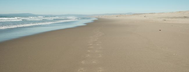 A sandy beach with a clear blue sky, ocean waves, and a line of footprints leading into the distance.