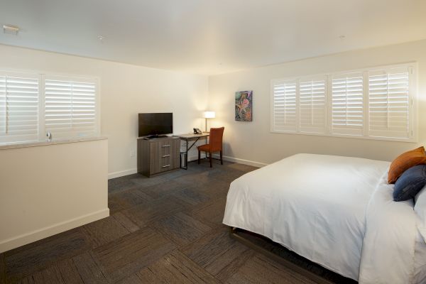 A modern, spacious bedroom with a king-sized bed, a TV on a desk, a chair, and a painting on the wall next to windows with shutters.