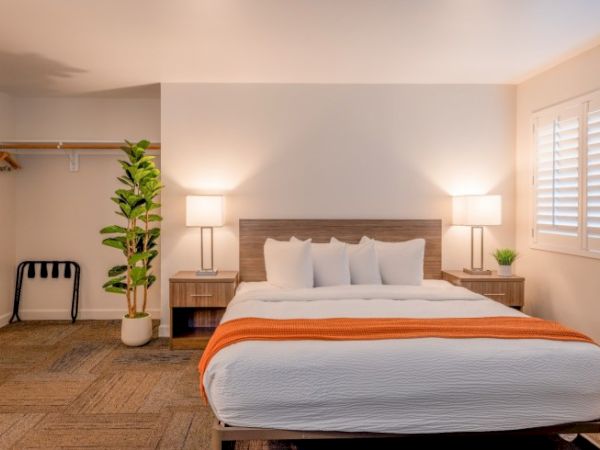 A neatly arranged bedroom with a bed, side tables, lamps, a potted plant, and an open closet.