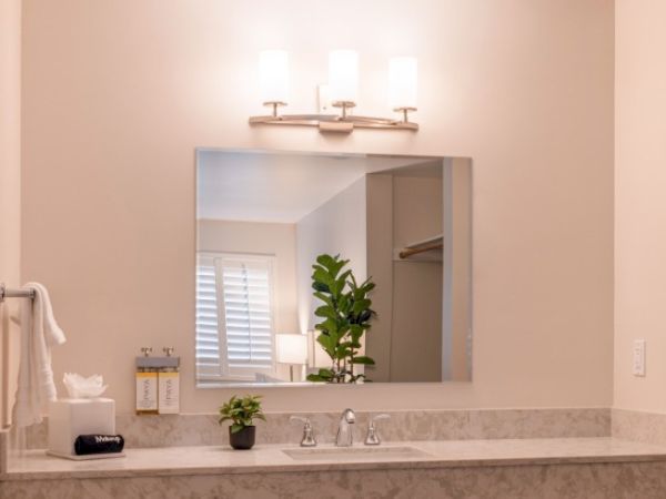 A bathroom countertop with a mirror, lights, sink, tissue box, and plants is shown. A window and a plant are reflected in the mirror.