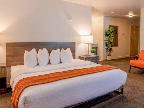 A neatly arranged hotel room with a double bed, orange throw, side tables with lamps, an armchair, and a plant for decor.