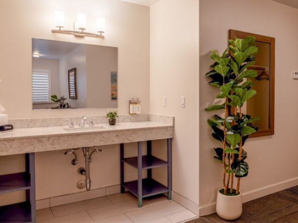 The image shows a bathroom with a marble countertop, mirror, plants, and shelves. There's wall lighting and a potted plant next to the door.