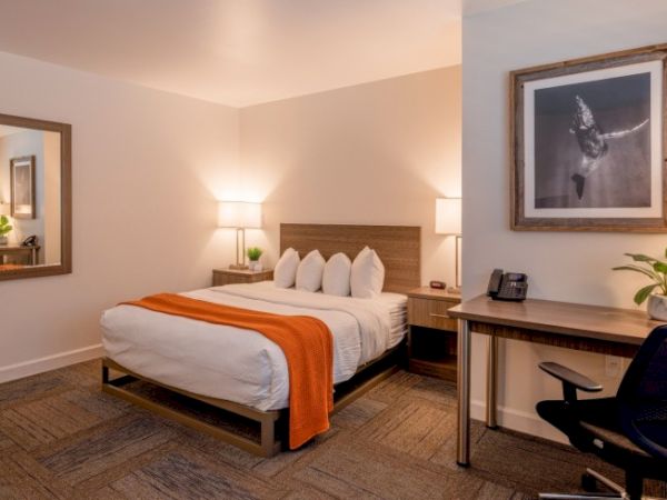 A cozy hotel room with a bed, warm lighting, a desk, chair, plants, art on the wall, and a large mirror enhances the space.