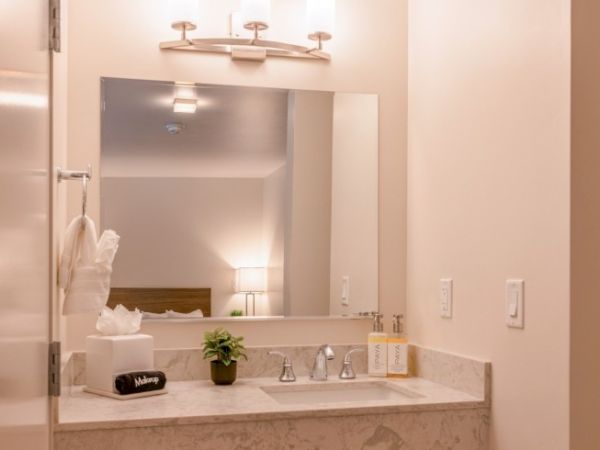 A bathroom vanity with a mirror, sink, tissues, soap, and a small plant. A reflection shows a lamp and bed in the adjacent room.