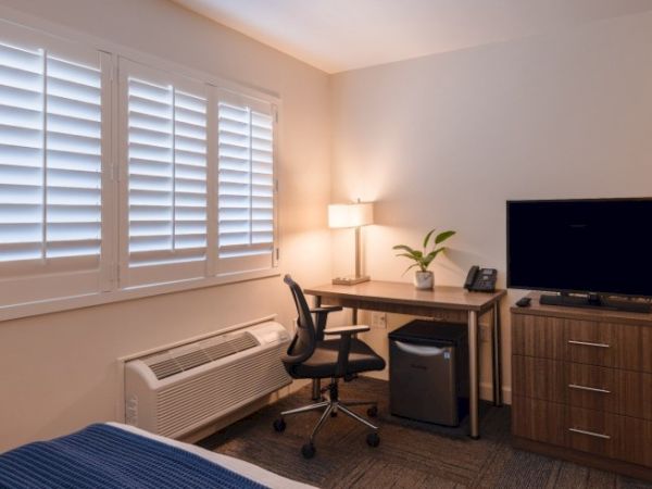 A cozy room with a desk, chair, lamp, TV on a dresser, a mini-fridge, and a potted plant beside a window with shutters.