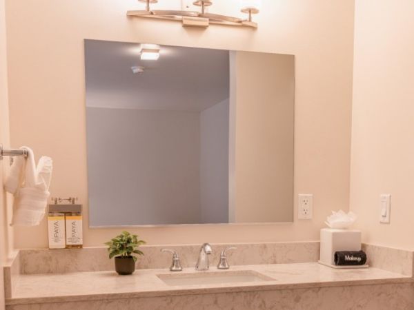 A bathroom vanity with a large mirror, sink, plant, tissues, soap, and a towel rack is shown in the image.