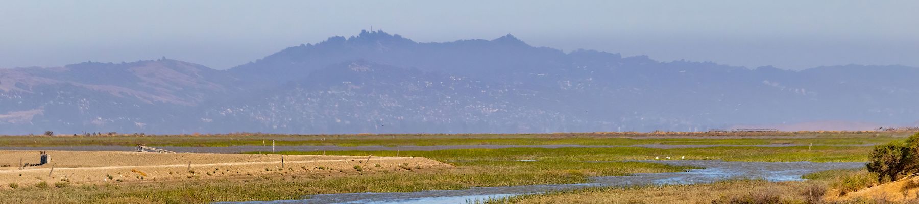 Inn At Moss Landing Point