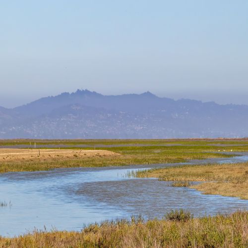 A serene marsh with winding water channels, grassy banks, and distant mountains under a clear blue sky. A peaceful, open landscape.