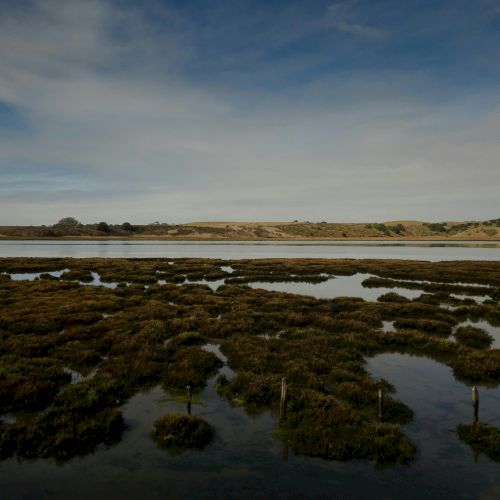 A tranquil coastal scene at dusk with a calm tidal pool, reflective water, and a distant silhouette of land under a gradient sky, ending the sentence.