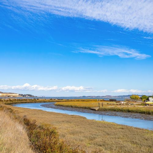 Elkhorn Slough on a bright day.