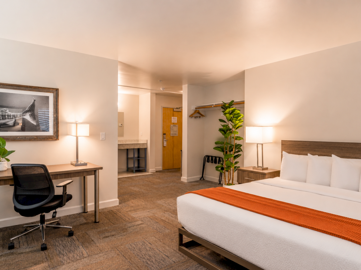 A modern hotel room with a desk, chair, bed with an orange runner, lamps, and a potted plant.