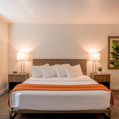 A modern bedroom with a double bed, white pillows, an orange throw, and nightstands with lamps, framed by plants and wall decor.