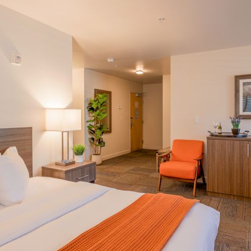 A hotel room with a bed, orange chair, wooden cabinet, microwave, plant, and wall art. Cozy and minimalist decor completes the space.