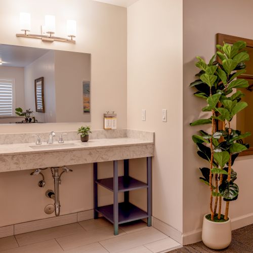 A bathroom with a large mirror, marble countertop, sink, lights, a small plant, tissue box, and a tall potted plant in the corner.