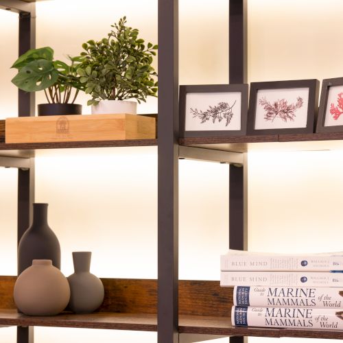 A shelf with potted plants, framed botanical prints, matte vases, and books titled "Blue Mind" and "Guide to Marine Mammals of the World."