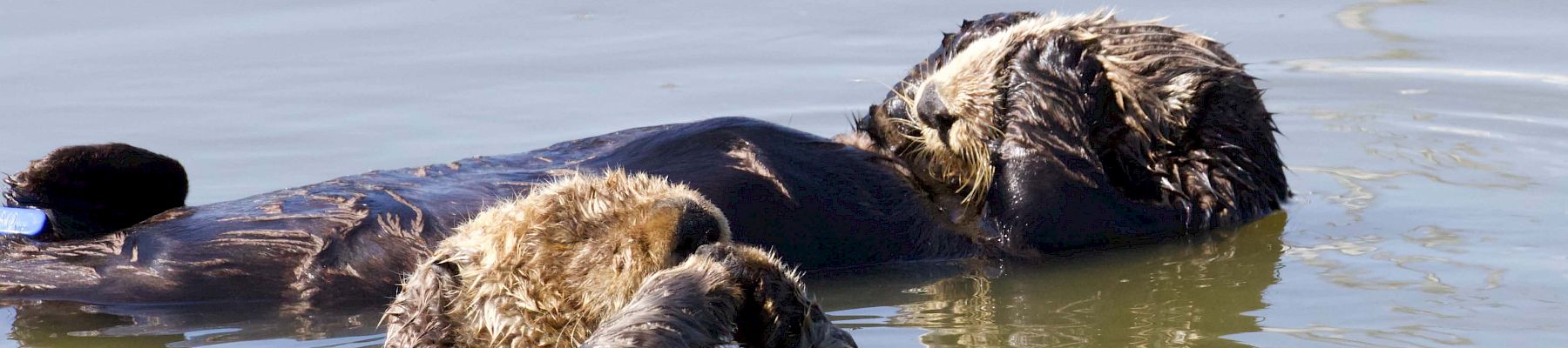 Inn At Moss Landing Point