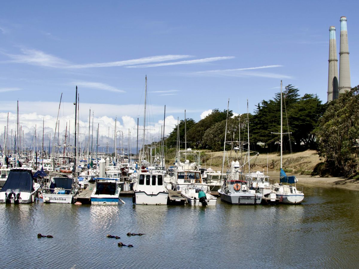A marina with many docked sailboats and boats on calm water, a distant treeline, and tall towers in the background under a clear sky.