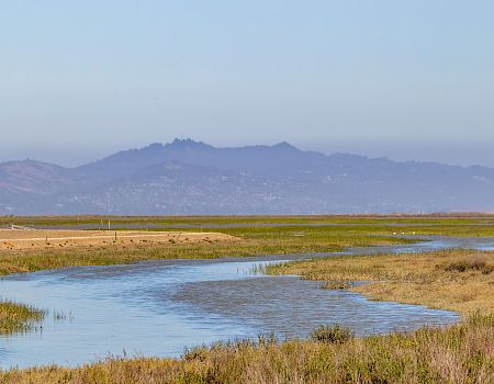 Inn At Moss Landing Point
