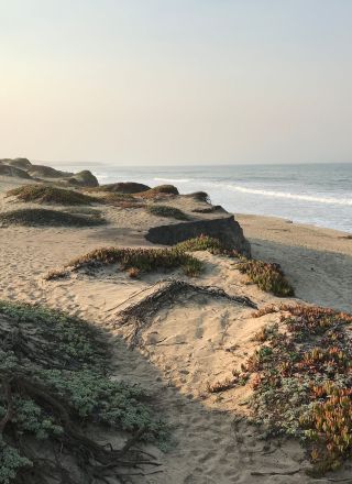 Inn At Moss Landing Point