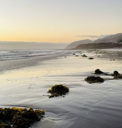 A tranquil beach at sunset with gentle waves, seaweed piles, footprints, and hazy mountains along the shore.