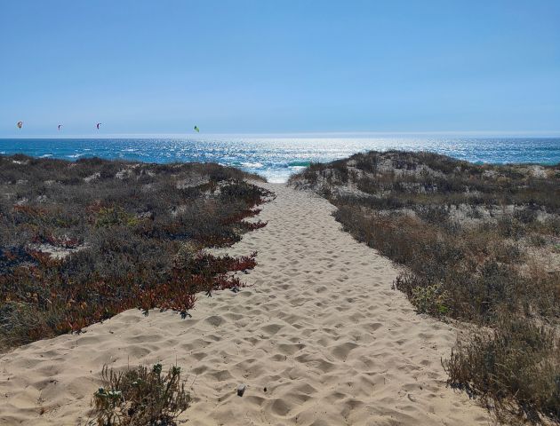 A sandy beach path through dunes leads to a bright blue ocean with colorful kites flying overhead.