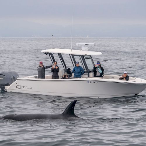 A group rides in a Robalo powerboat on open water, with people filming and the sea stretching behind them.